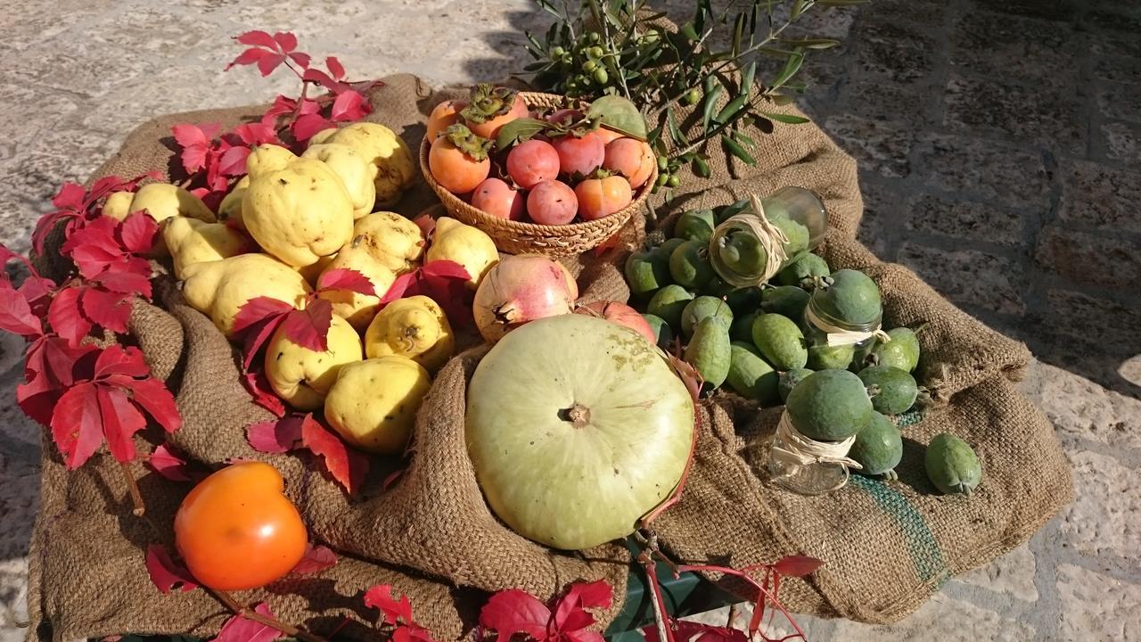 Agriturismo Torrevecchia ซานปันกราซิโอ ซาเลนติโน ภายนอก รูปภาพ